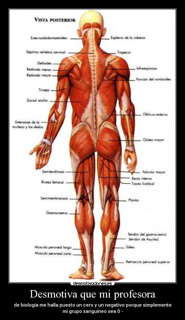 Desmotiva que mi profesora - 