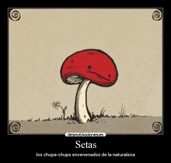 Setas - los chupa-chups envenenados de la naturaleza