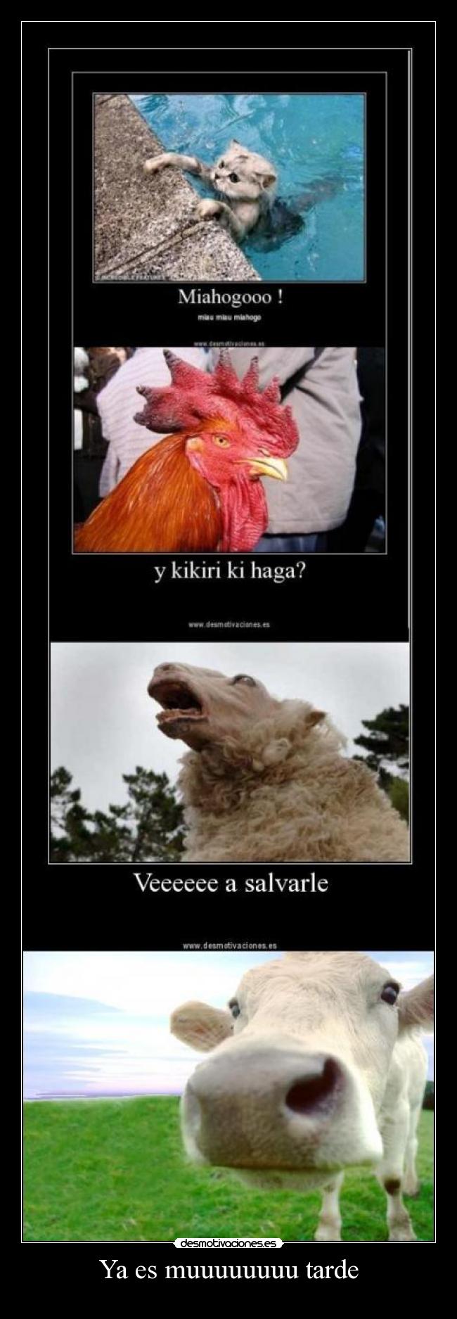 Ya es muuuuuuuu tarde -