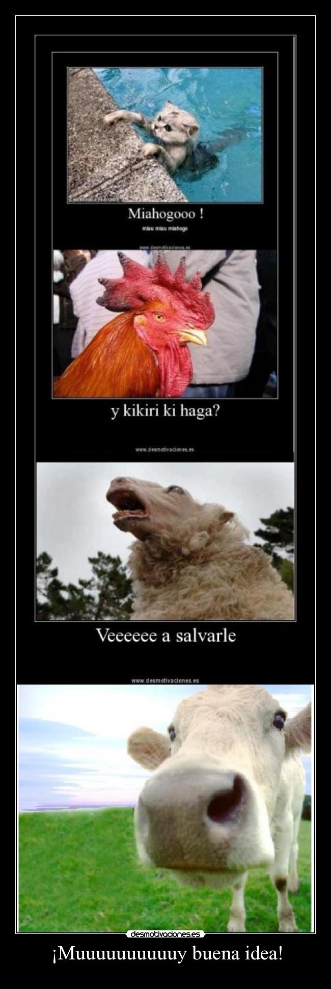 ¡Muuuuuuuuuuy buena idea! - 