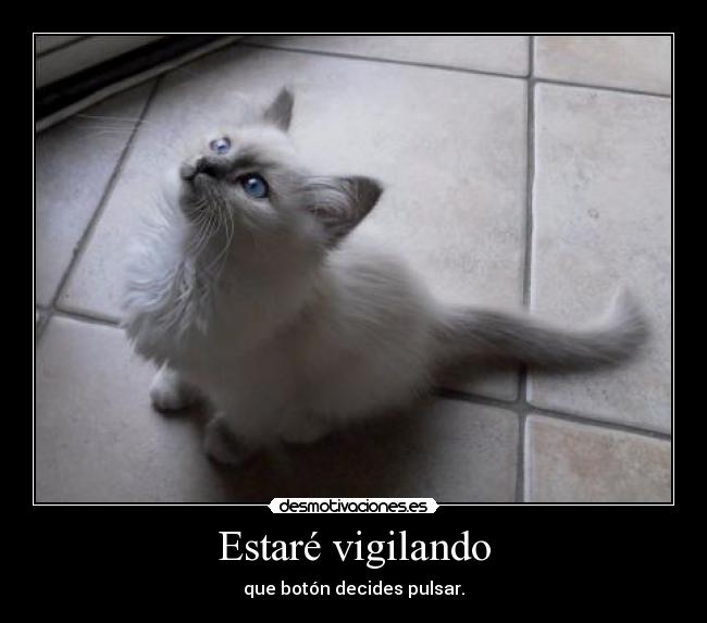 Estaré vigilando -