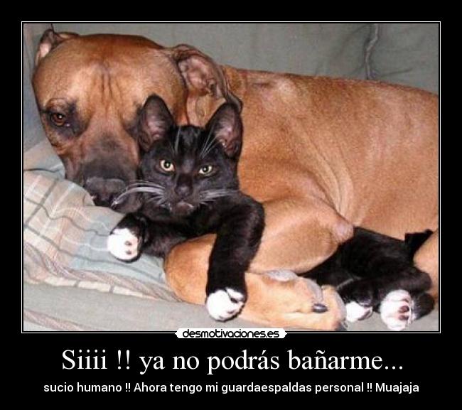 Siiii !! ya no podrás bañarme... - 