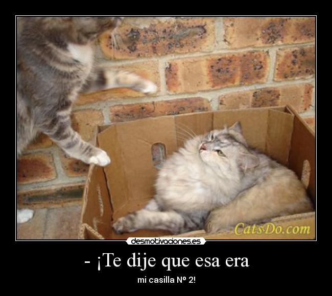 - ¡Te dije que esa era - mi casilla Nº 2!