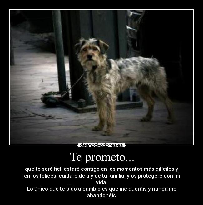 Te prometo... - 