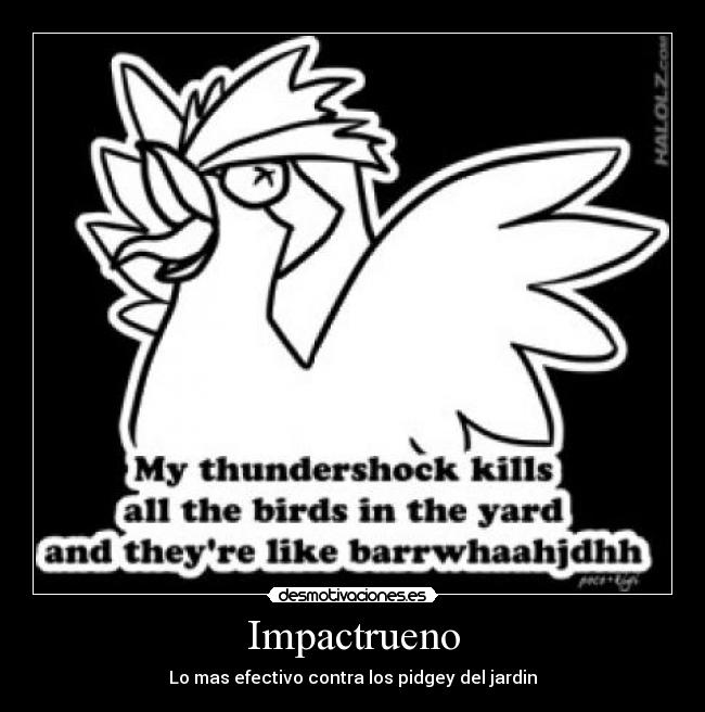 carteles pokemon pidgey desmotivaciones
