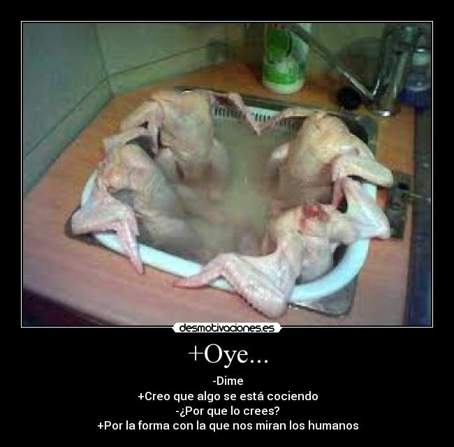 +Oye... - 