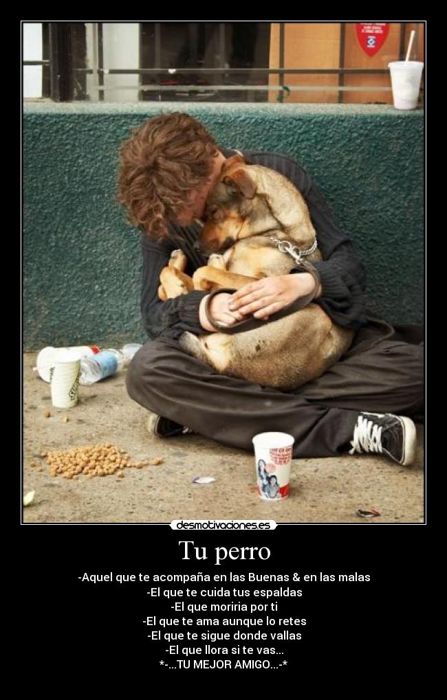 Tu perro -