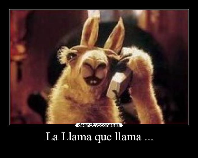 carteles llama desmotivaciones
