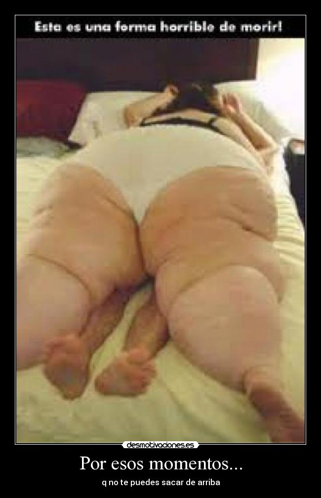 carteles gorda desmotivaciones