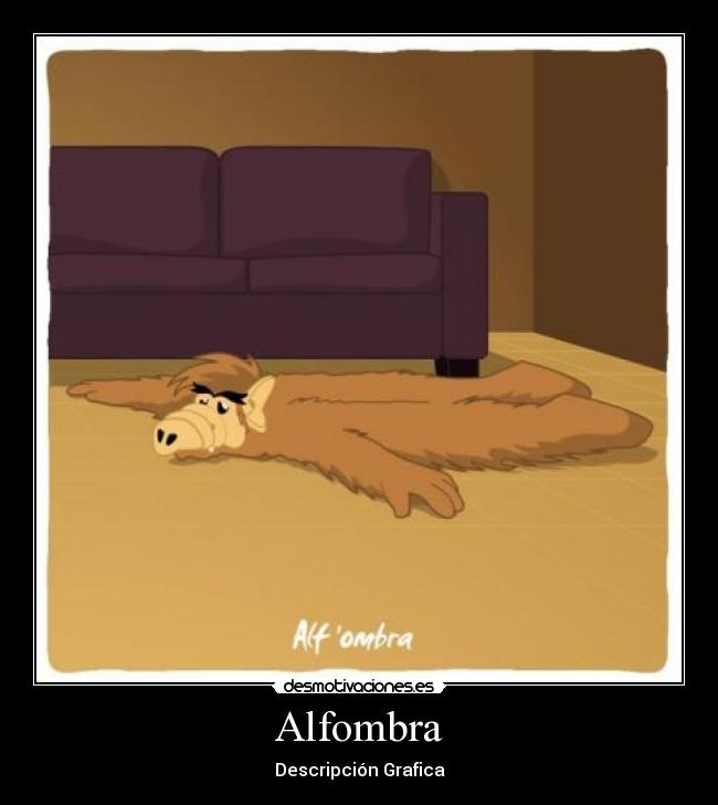 Alfombra - Descripción Grafica