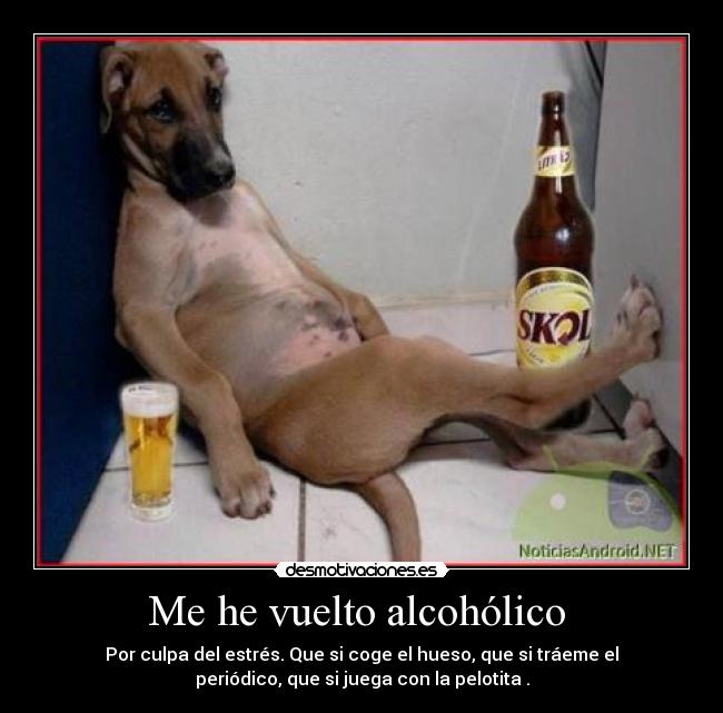 Me he vuelto alcohólico - Por culpa del estrés. Que si coge el hueso, que si tráeme el
periódico, que si juega con la pelotita .