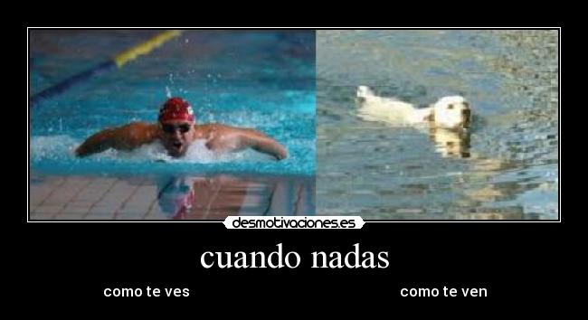 cuando nadas - 