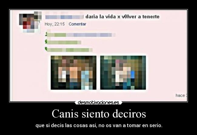 Canis siento deciros -