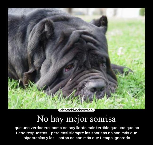 No hay mejor sonrisa -