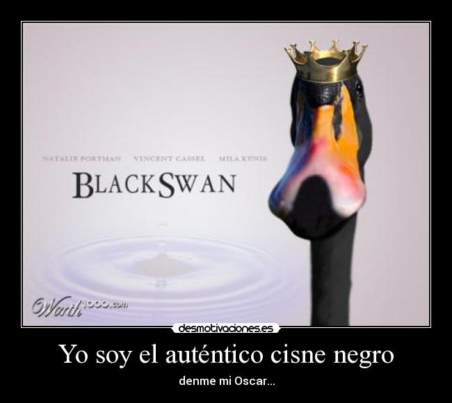 carteles cisne negro natalie portman pelicula oscar premio literal desmotivaciones