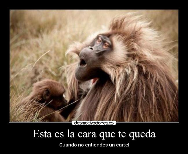 Esta es la cara que te queda -