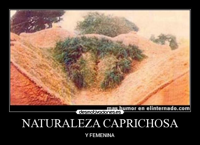 NATURALEZA CAPRICHOSA - 