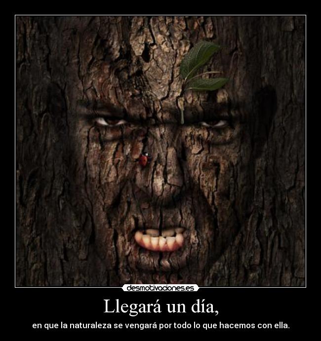 carteles naturaleza desmotivaciones