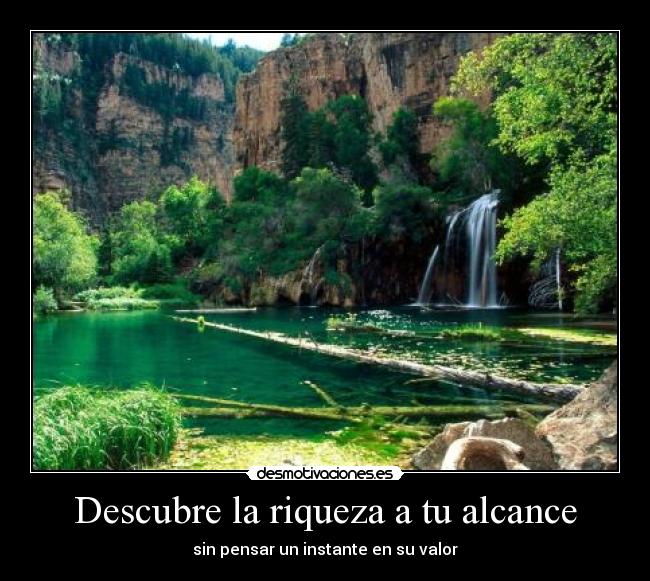 Descubre la riqueza a tu alcance - sin pensar un instante en su valor