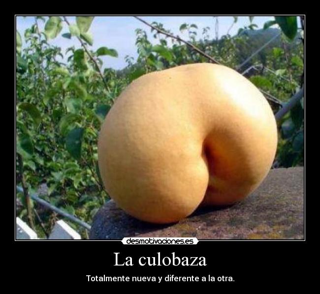La culobaza -