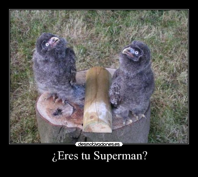 ¿Eres tu Superman? -