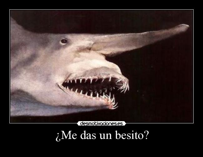 ¿Me das un besito? -