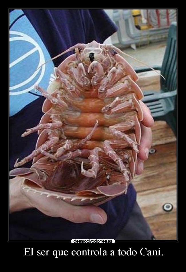 El ser que controla a todo Cani. -
