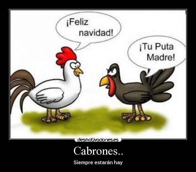 Cabrones.. - 