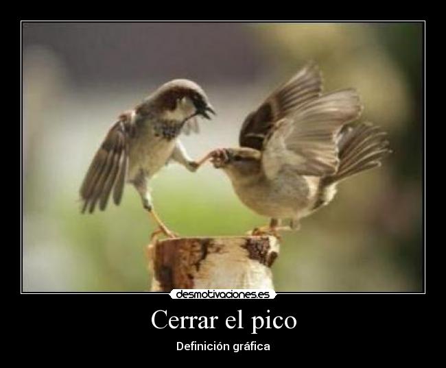Cerrar el pico - 