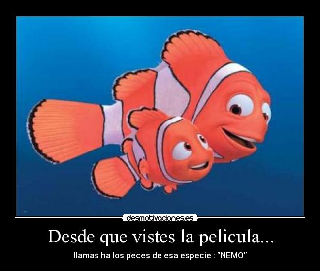 Desde que vistes la pelicula... - 