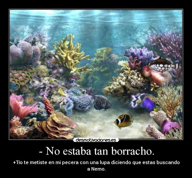 carteles zandy desmotivaciones