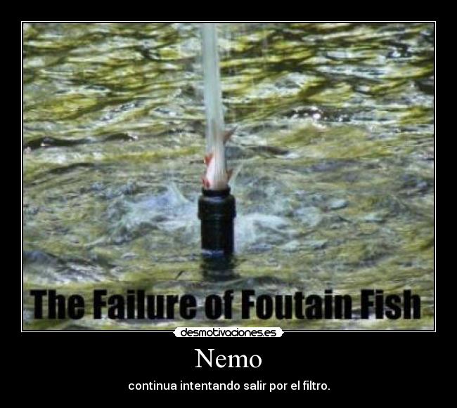 carteles nemo esxiste adnpkwsc desmotivaciones