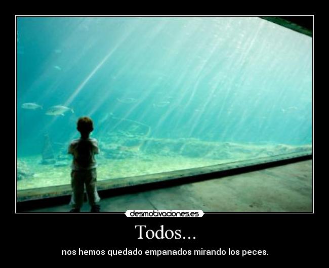 Todos... - 