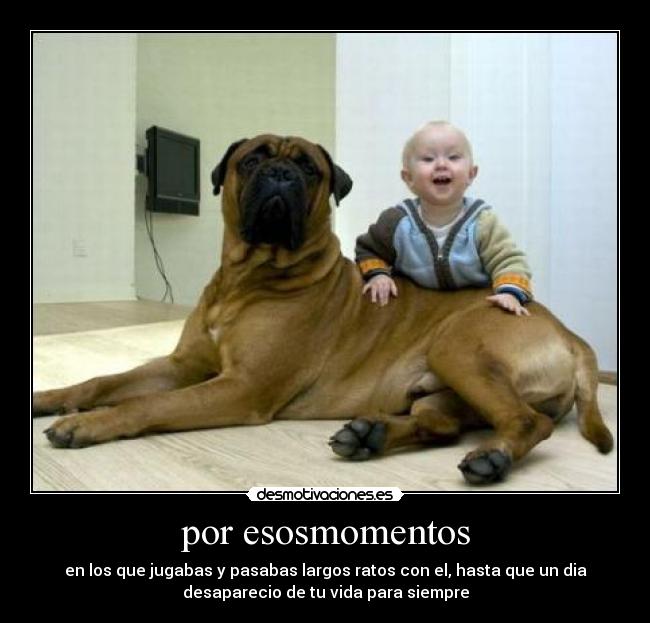por esosmomentos - en los que jugabas y pasabas largos ratos con el, hasta que un dia
desaparecio de tu vida para siempre