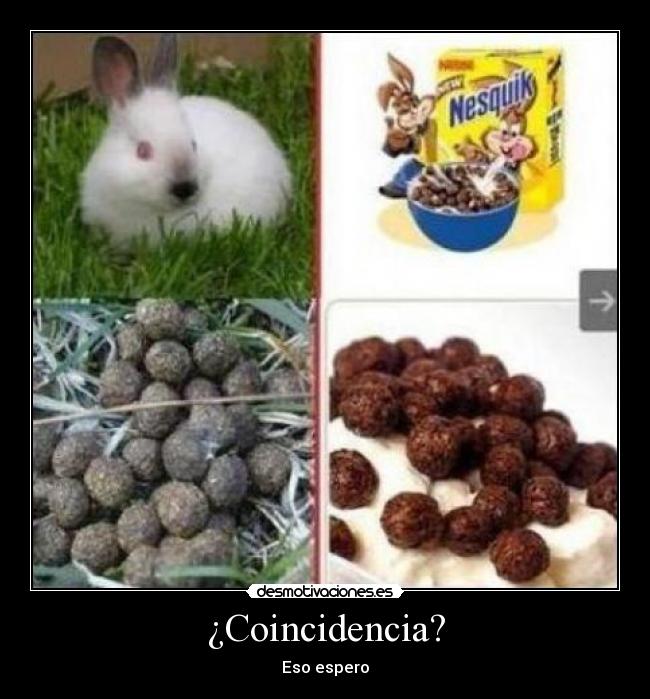 ¿Coincidencia? - Eso espero