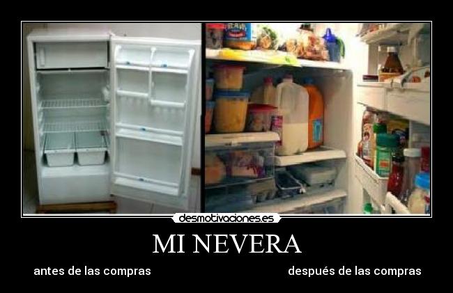 MI NEVERA -
