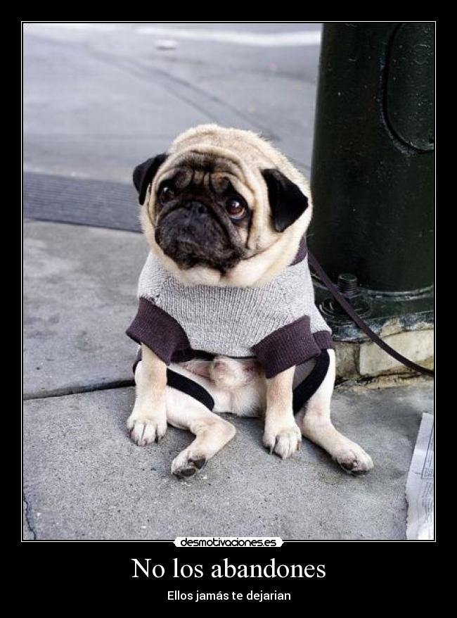 No los abandones -