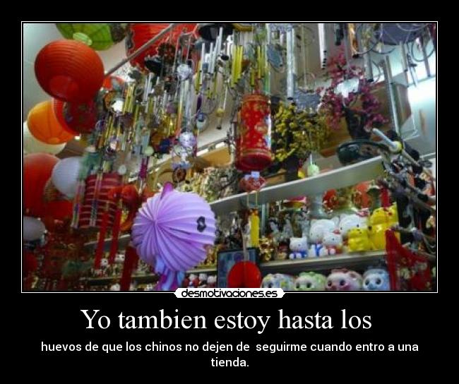 Yo tambien estoy hasta los - huevos de que los chinos no dejen de seguirme cuando entro a una tienda.