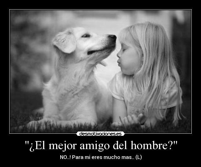 ¿El mejor amigo del hombre? -
