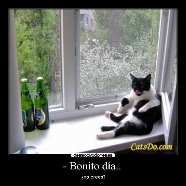 - Bonito día..  - ¿no crees?