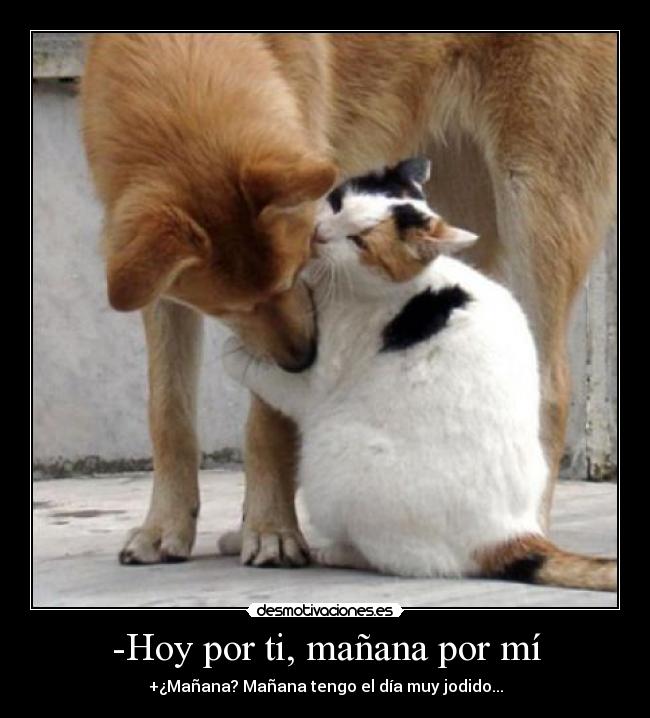 -Hoy por ti, mañana por mí - 