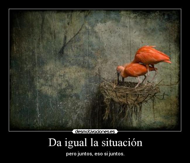 Da igual la situación -