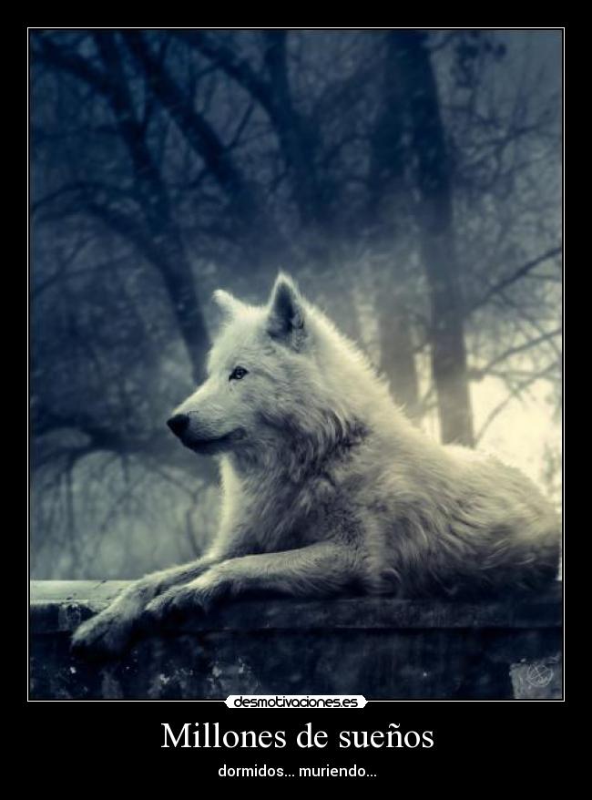 Millones de sueños -