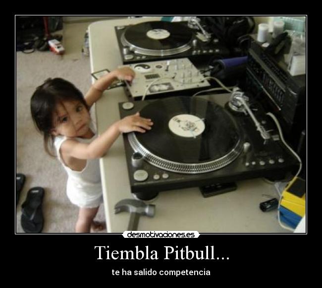 carteles competencia pitbull dj musica remix cantante nina bebe mesa dj pinchar mezclar tembla desmotivaciones