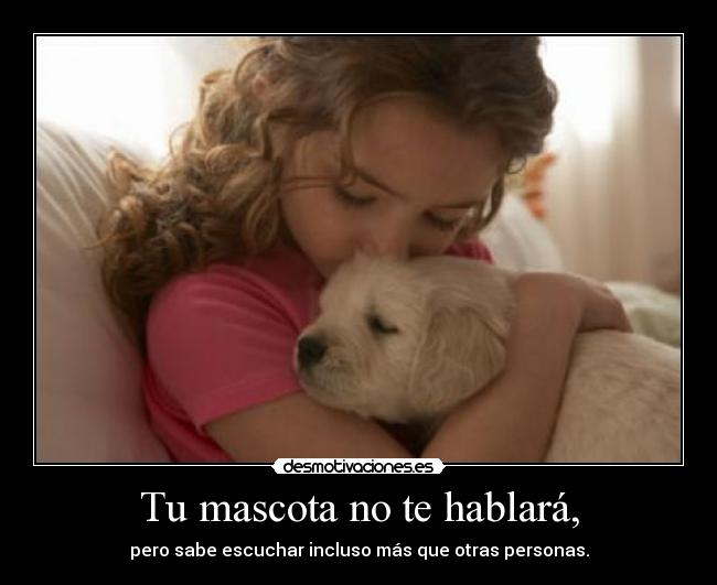 Tu mascota no te hablará, - pero sabe escuchar incluso más que otras personas.