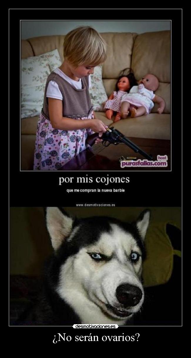 ¿No serán ovarios? - 