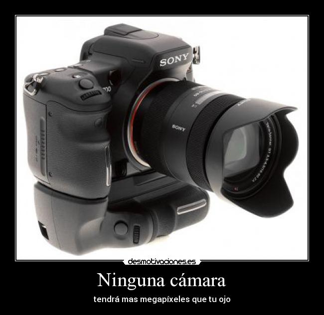 Ninguna cámara - 