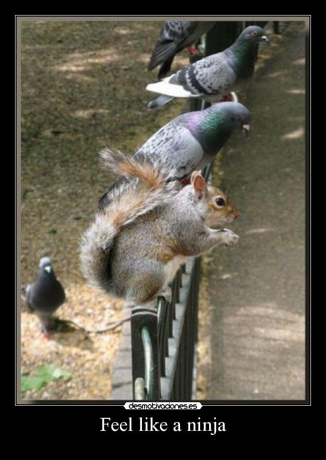 carteles zpufuckyeah desmotivaciones