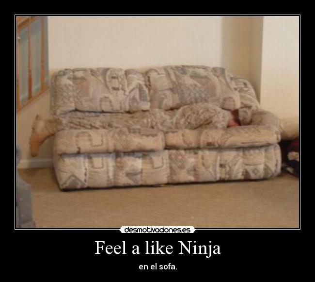 carteles ninja soga desmotivaciones