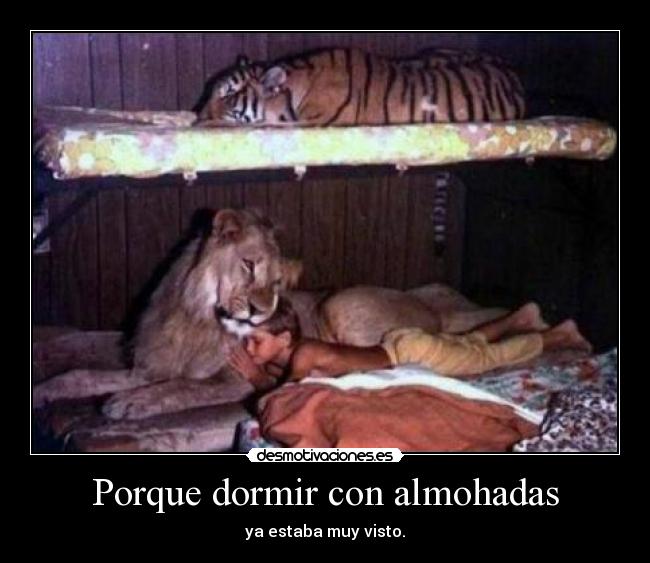 Porque dormir con almohadas - ya estaba muy visto.